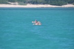 resIMG_20180707_153416_0097.JPG